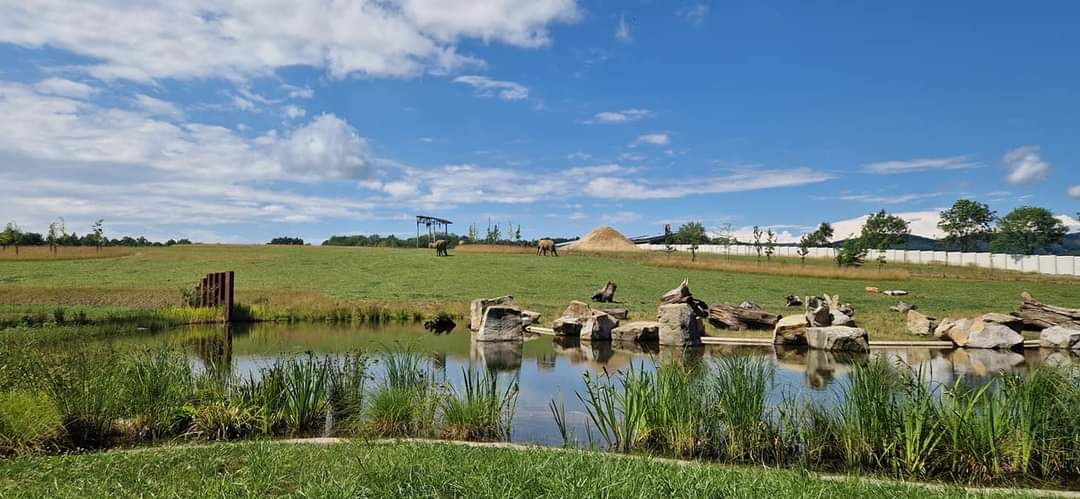 Future African Elephant complex Karibuni