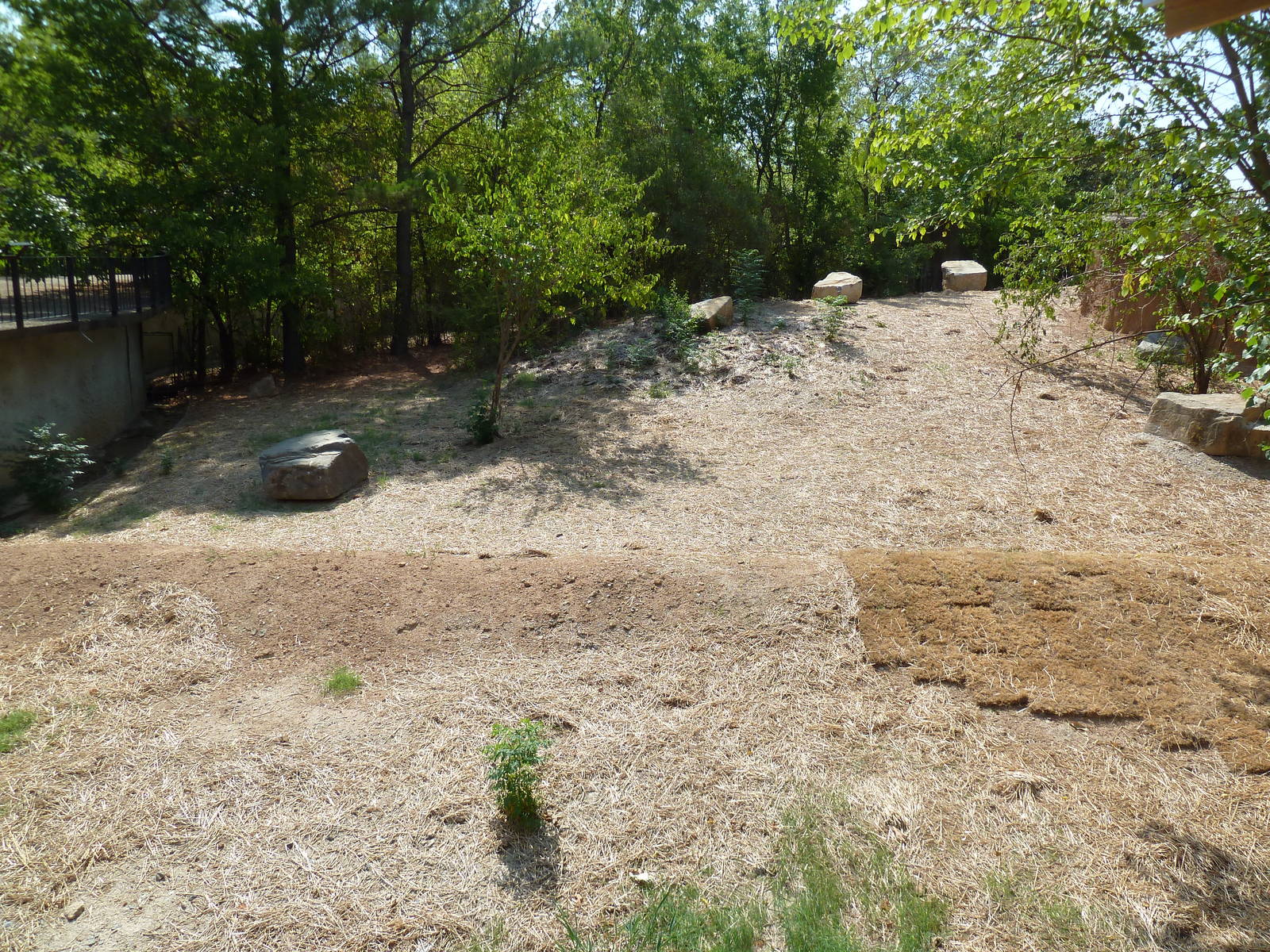 Future African Exhibit