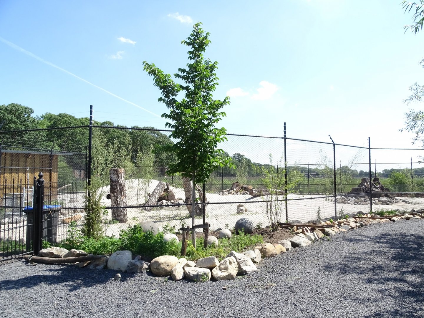 Future African wild dog enclosure