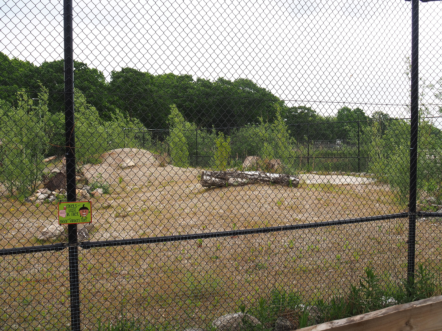 Future African wild dog exhibit, 2022-05-17