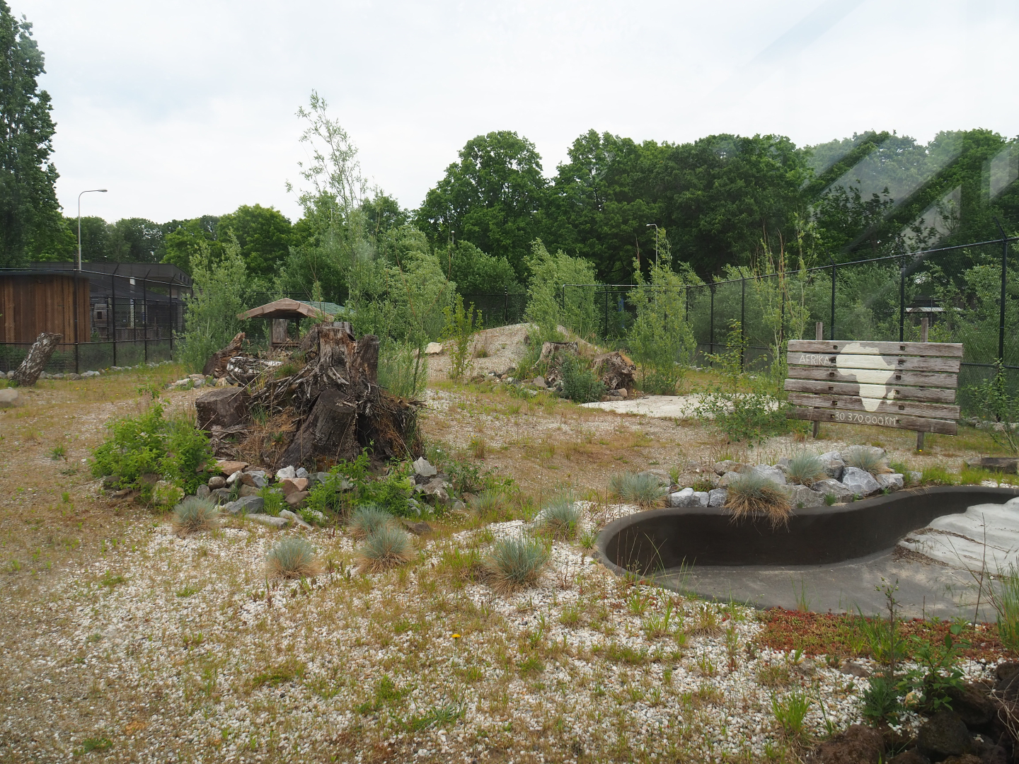 Future African wild dog exhibit, 2022-05-17