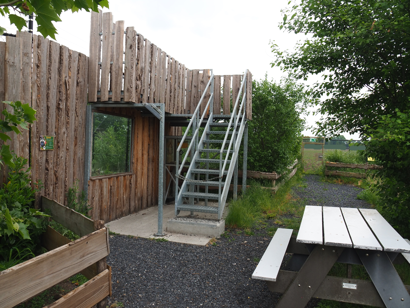 Future African wild dog viewing area, 2022-05-17