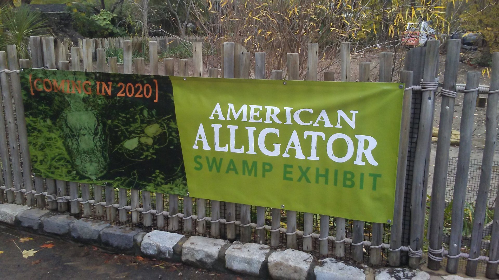 Future alligator exhibit signage