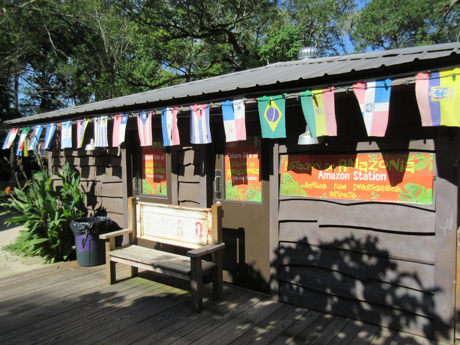 Future Amazon Station (reptiles, fish + invertebrates)