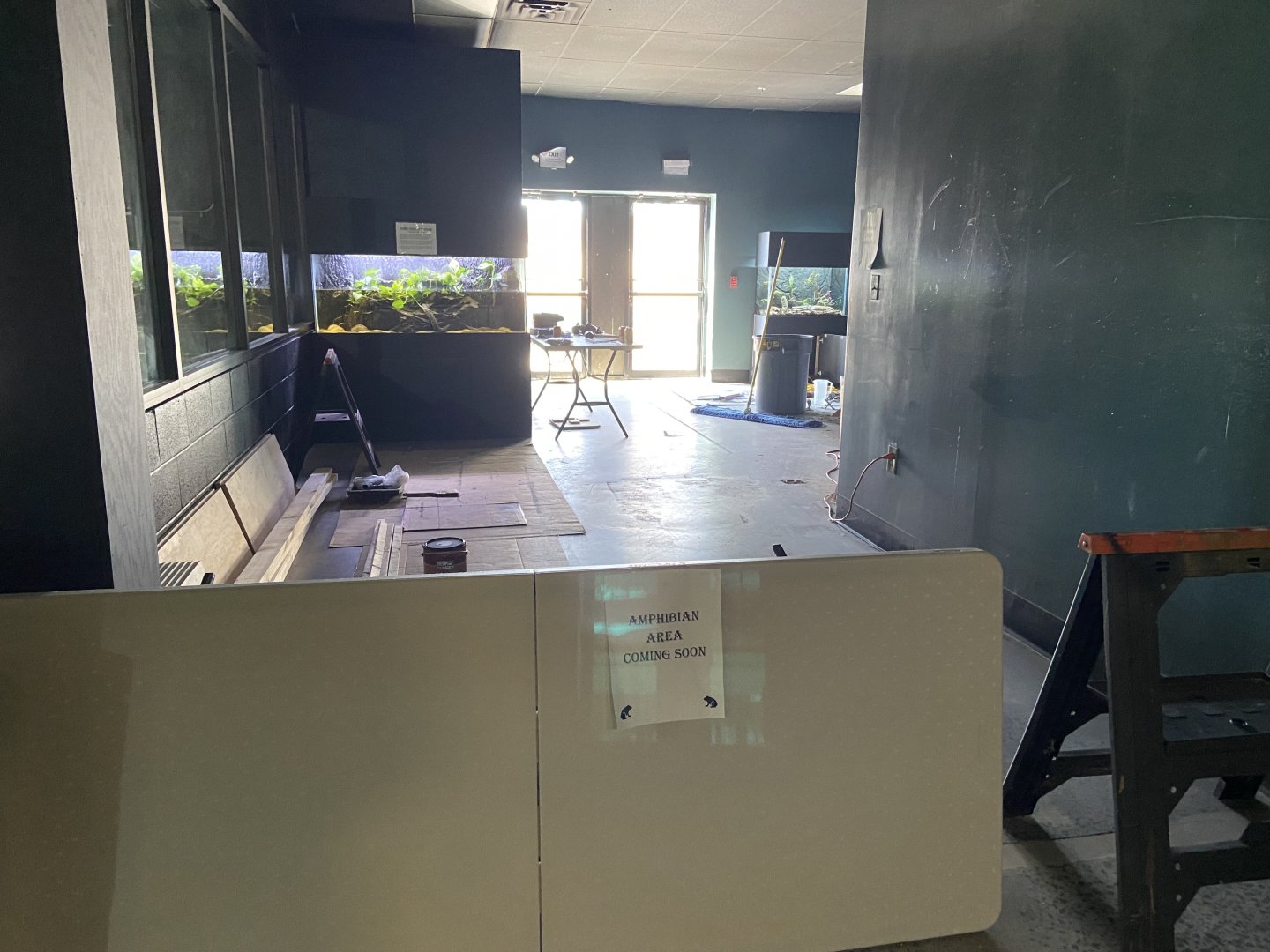 Future Amphibian Area