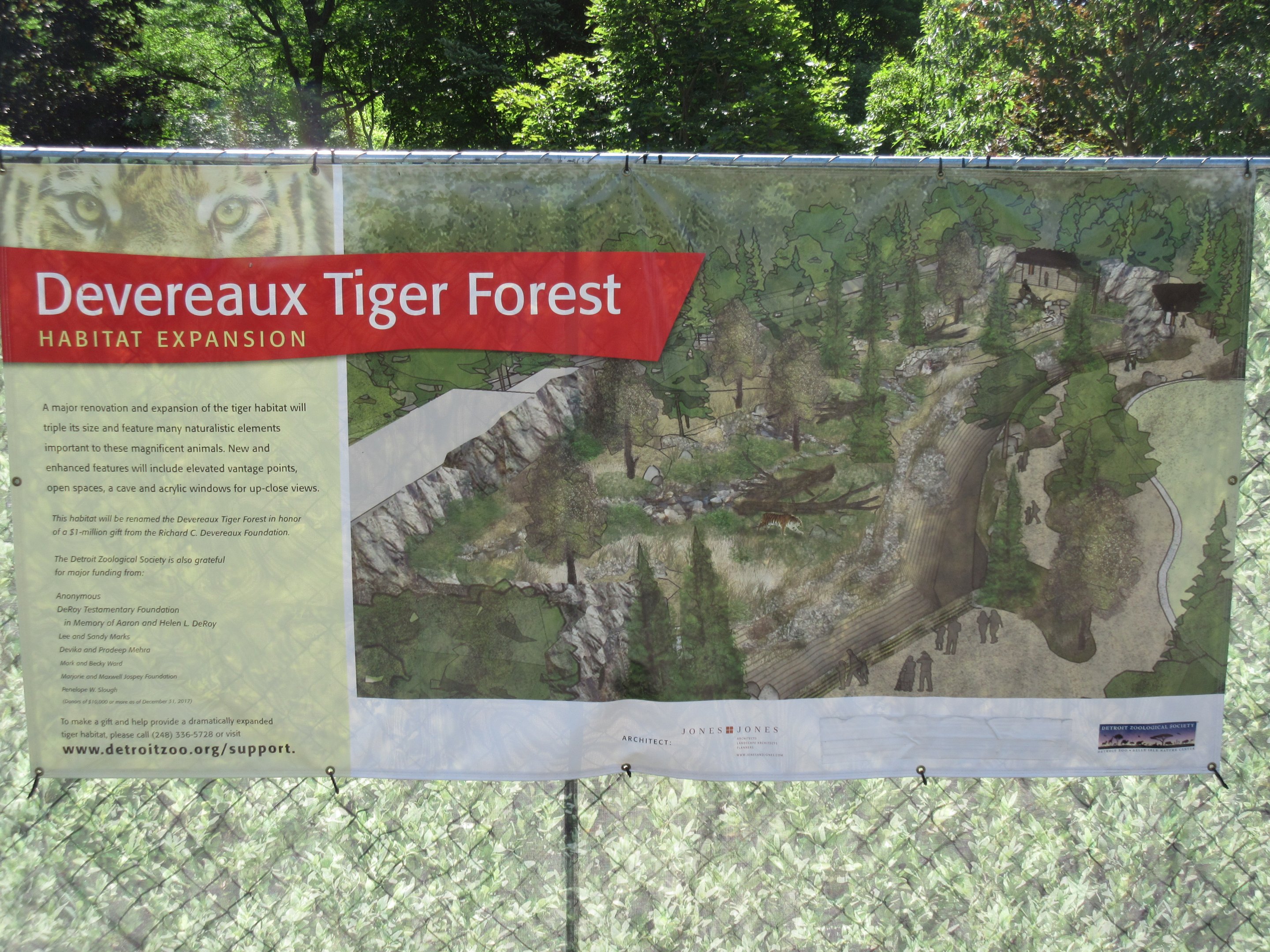 Future Amur Tiger Exhibit - New in 2019
