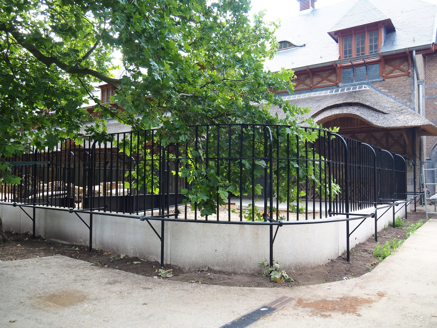 Future antelope/ostrich separation paddock next to historic bovine house, 2020-06-28