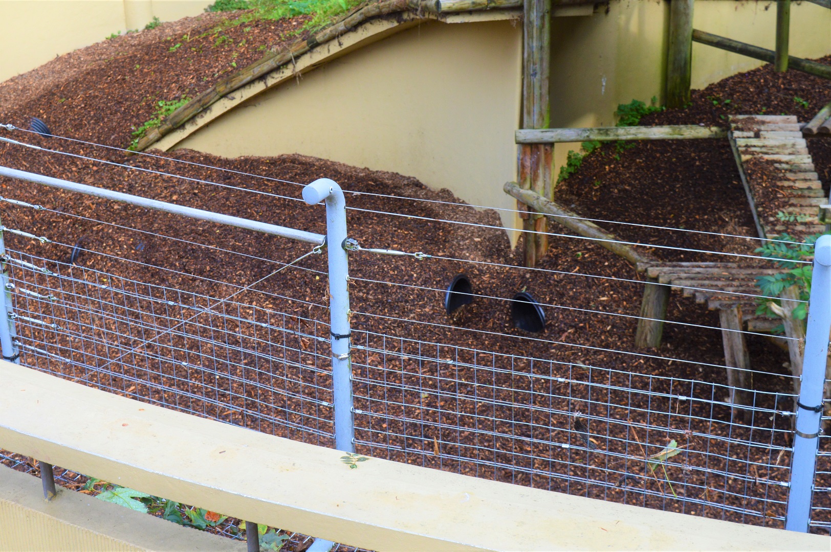 Future Arctic fox exhibit under construction.