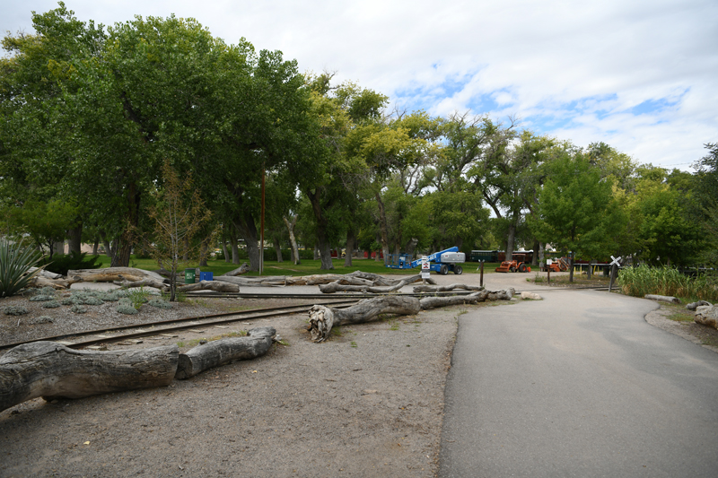 future Asia expansion