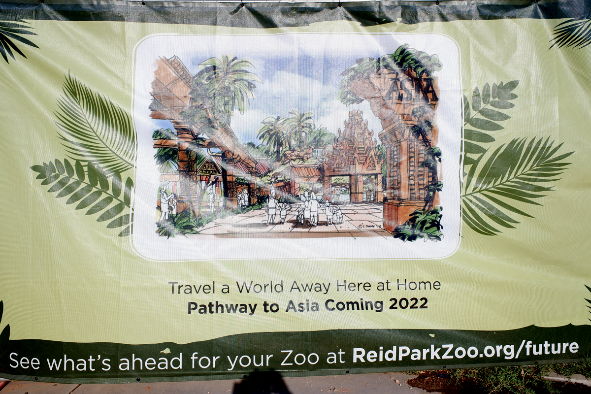 future Asia expansion