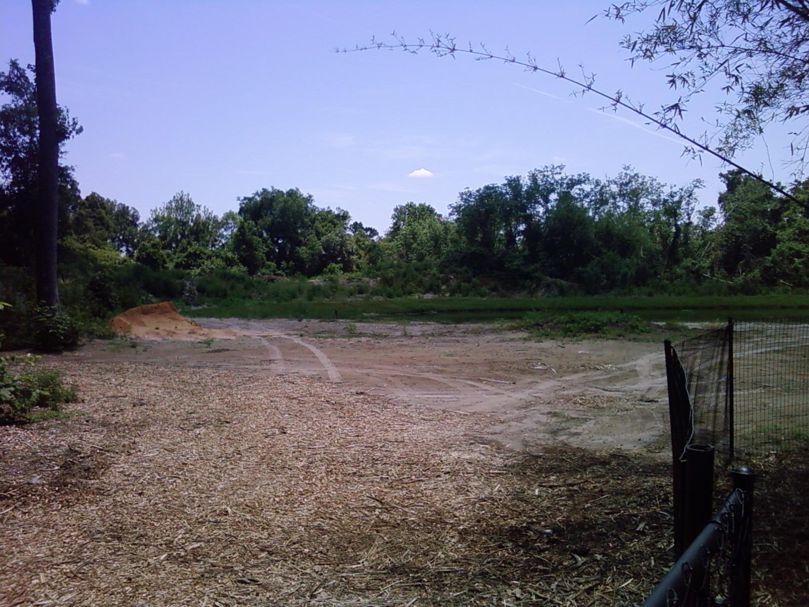 Future Asian exhibits