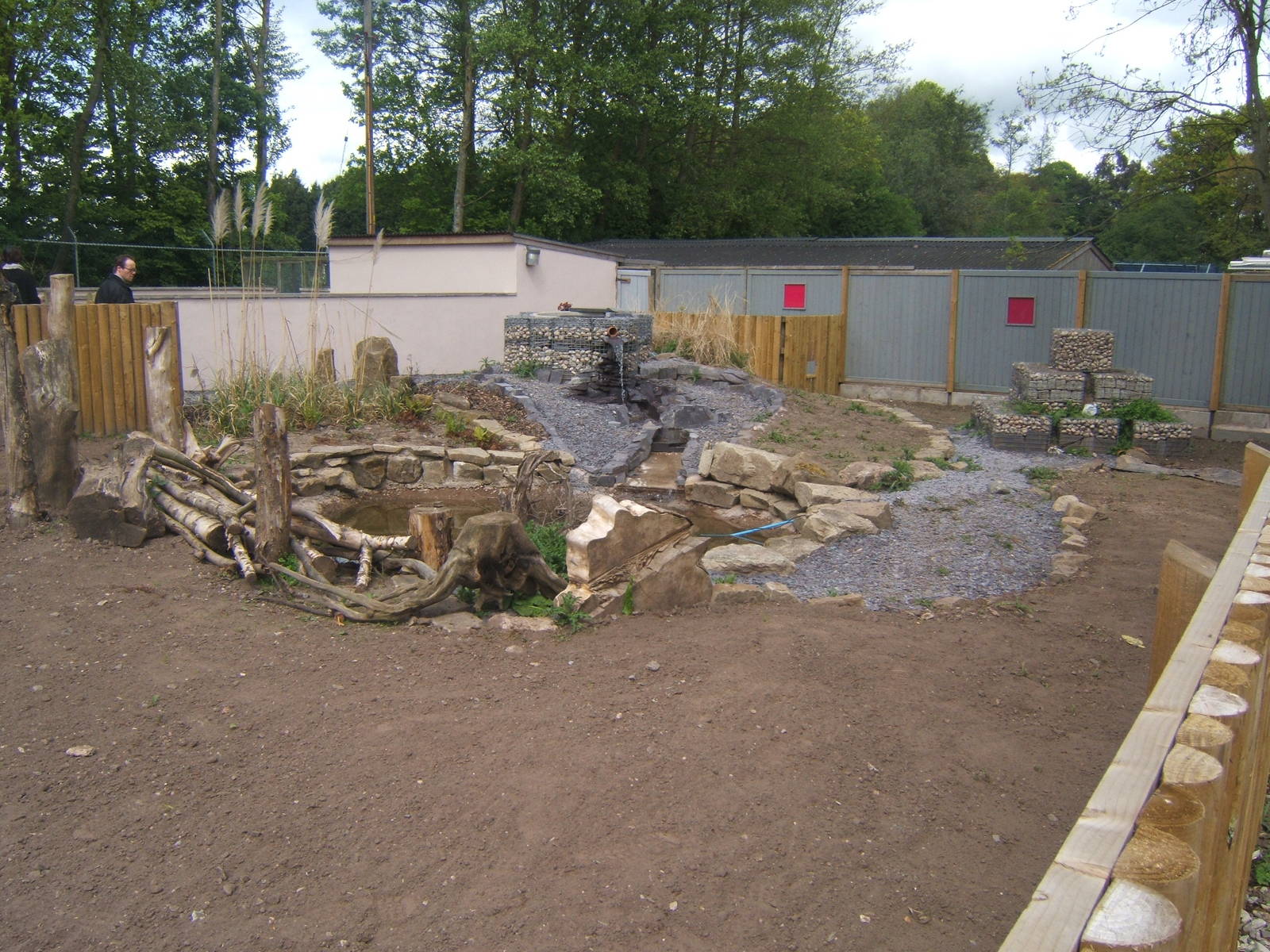 Future Asian Small-clawed Otter