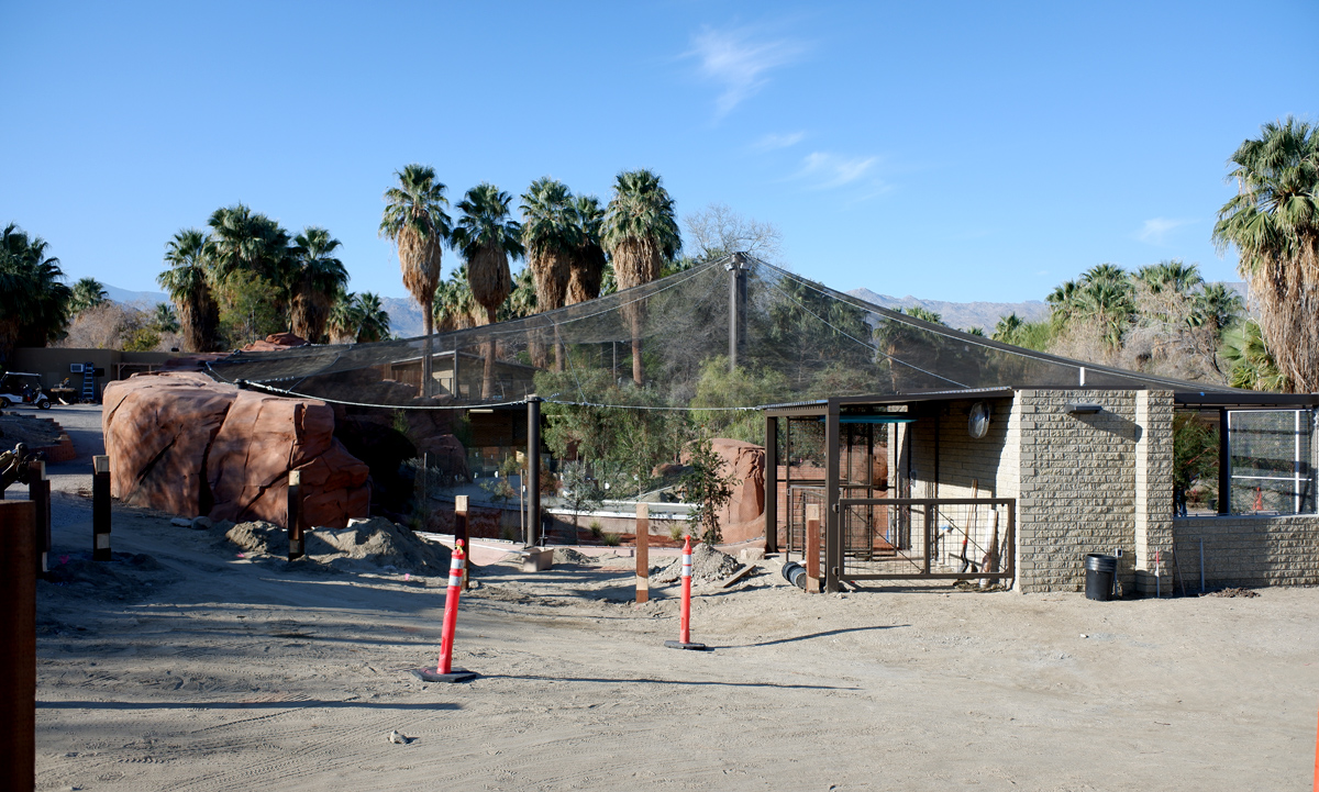 future Australia (spring 2020)