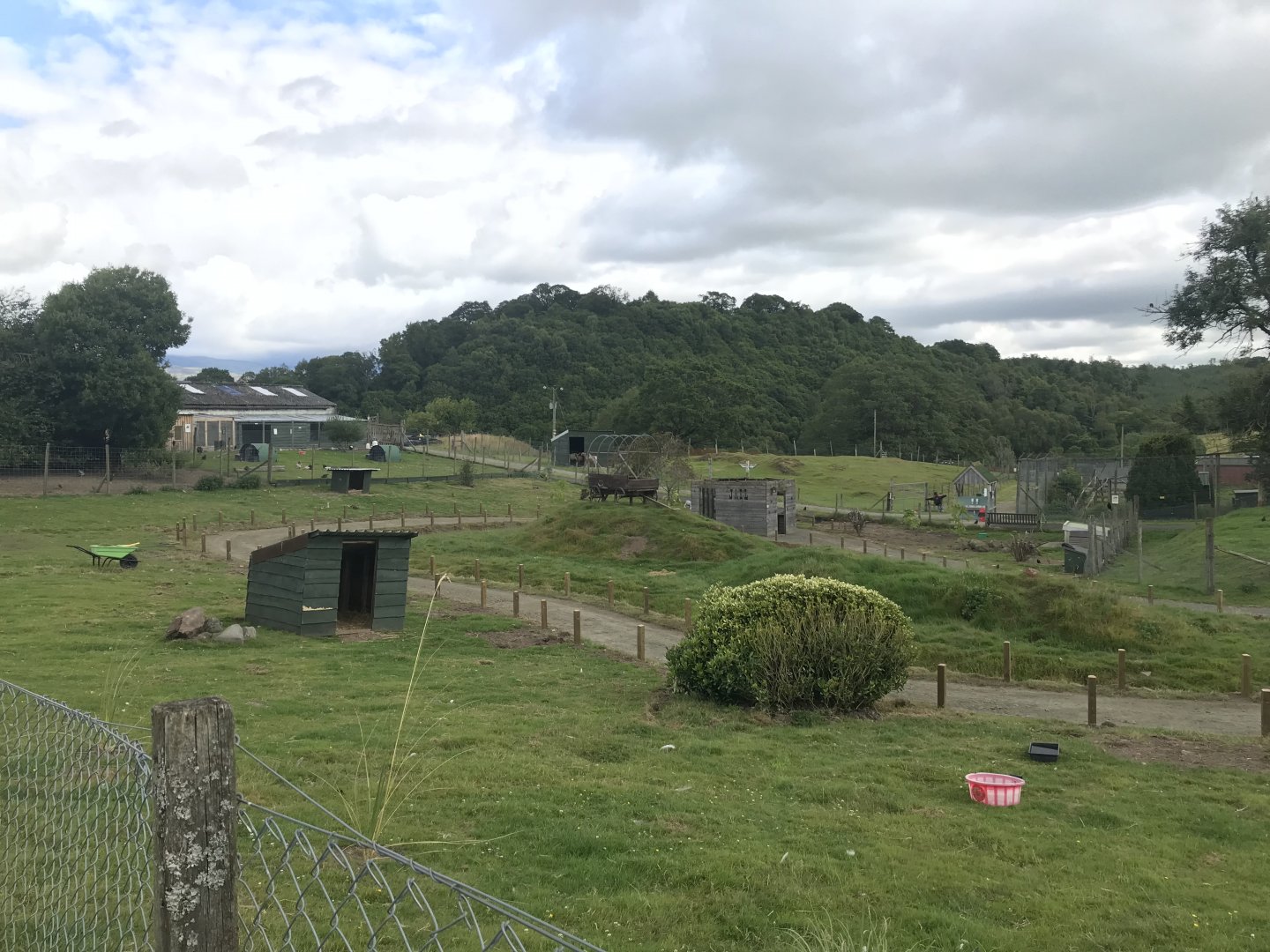 Future Australian walkthrough (currently holds wallaby and chicken)