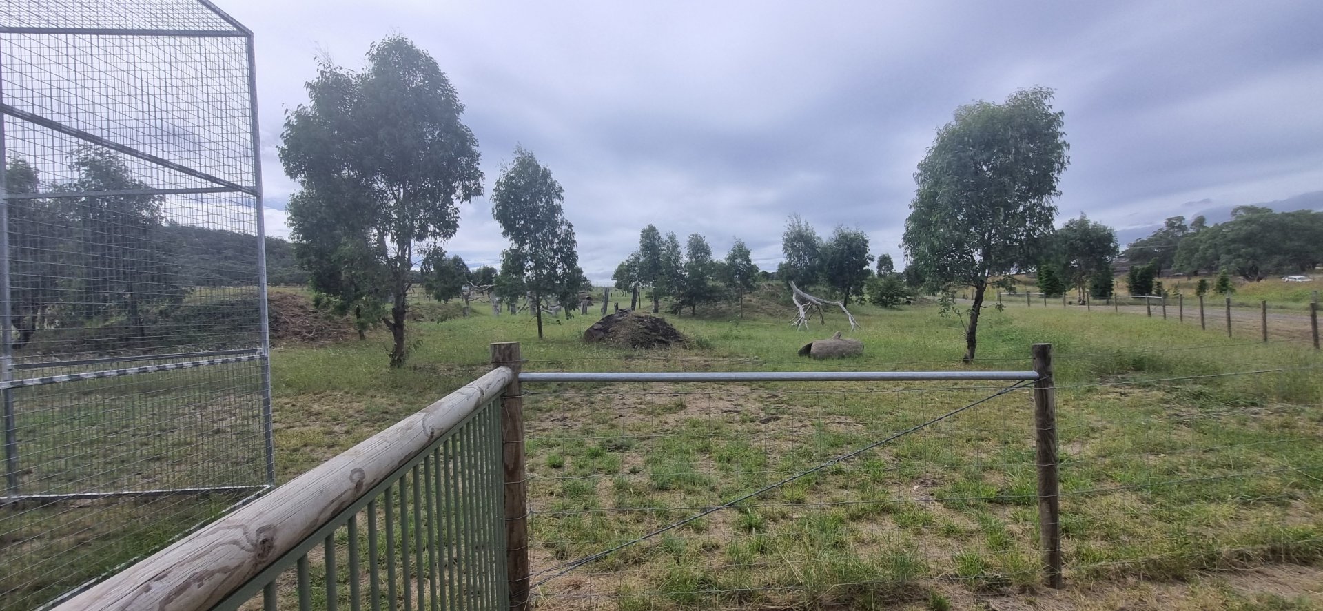 Future baboon enclosure