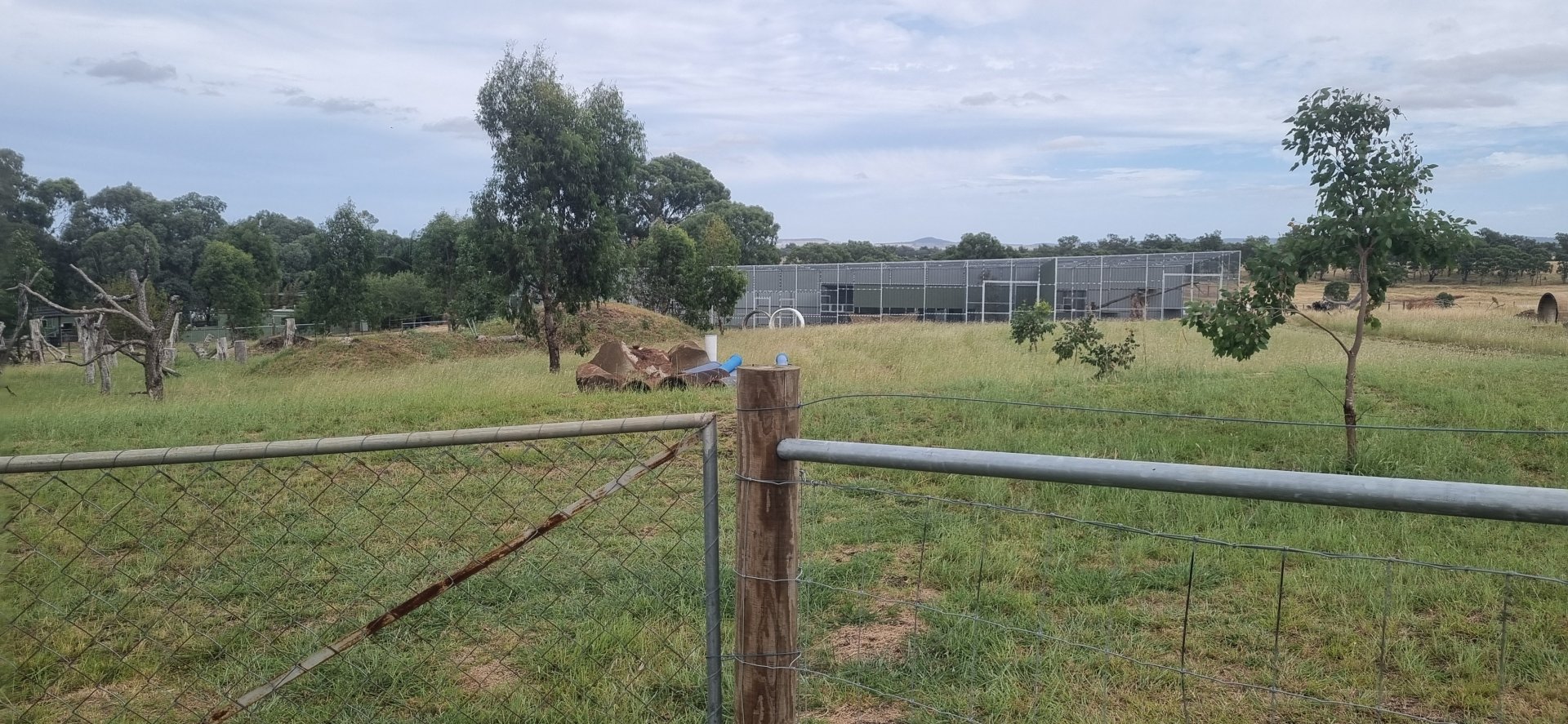 Future baboon enclosure
