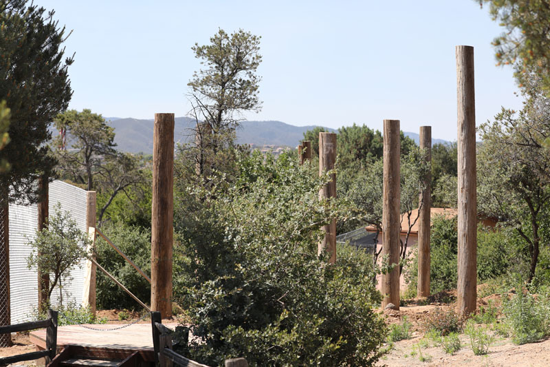 future bald and golden eagle aviary