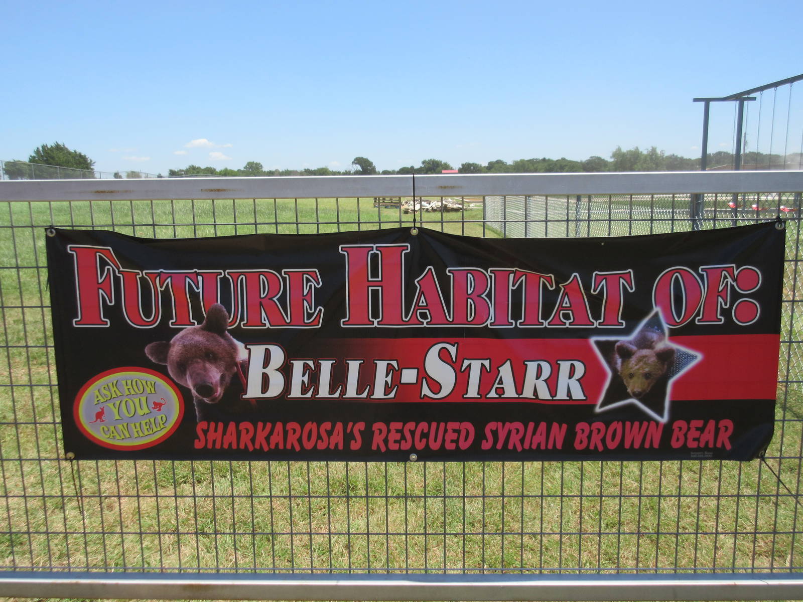 Future Bear Habitat - Sign