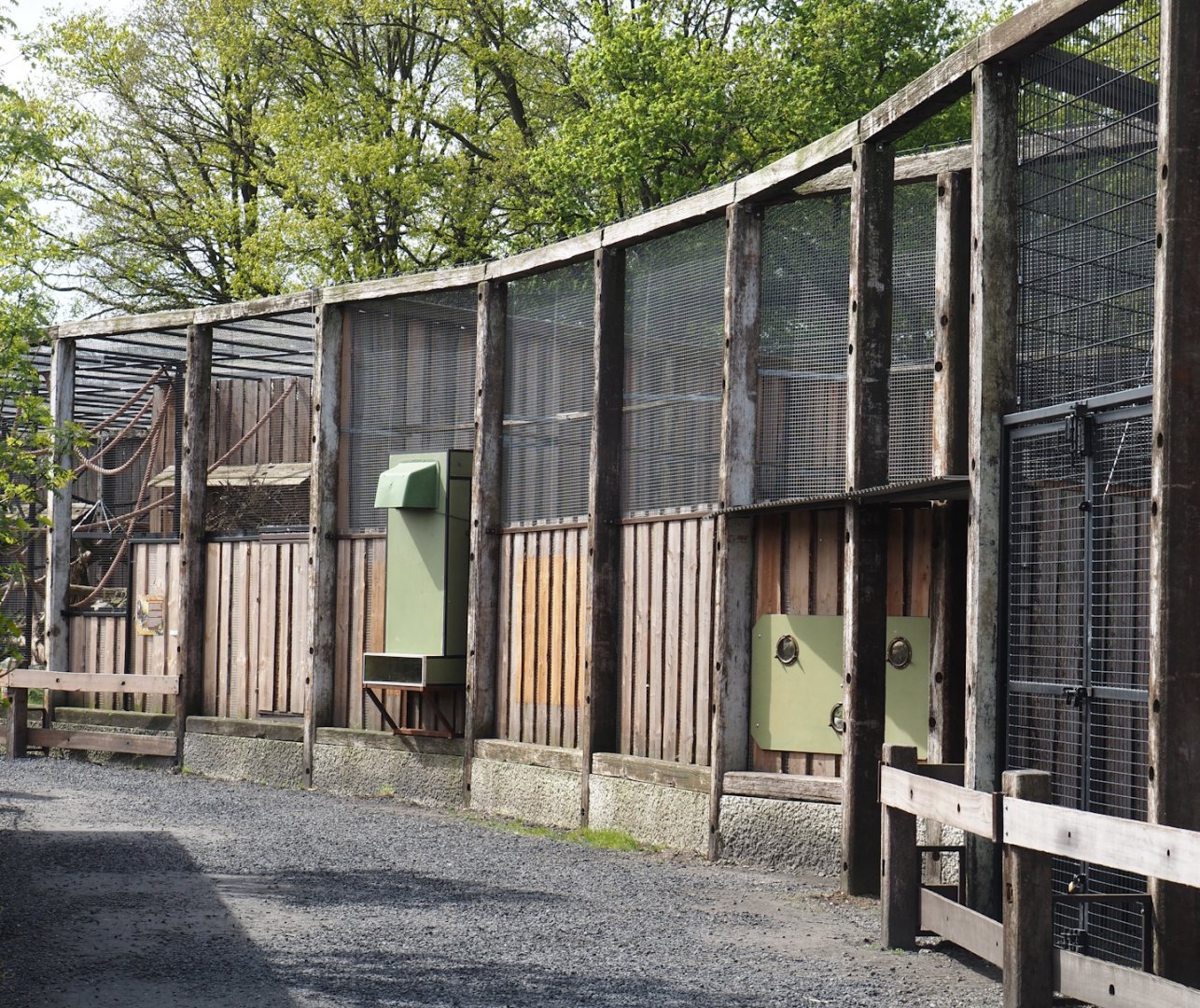 Future Bearded vulture aviary viewing areas, 2024-04-14