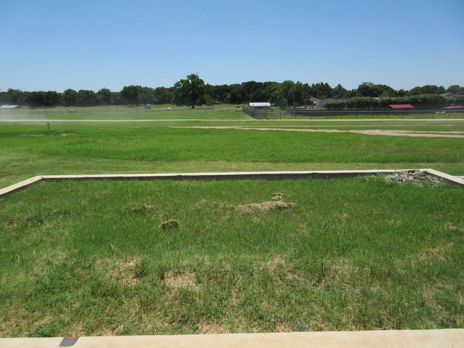 Future Binturong Exhibit