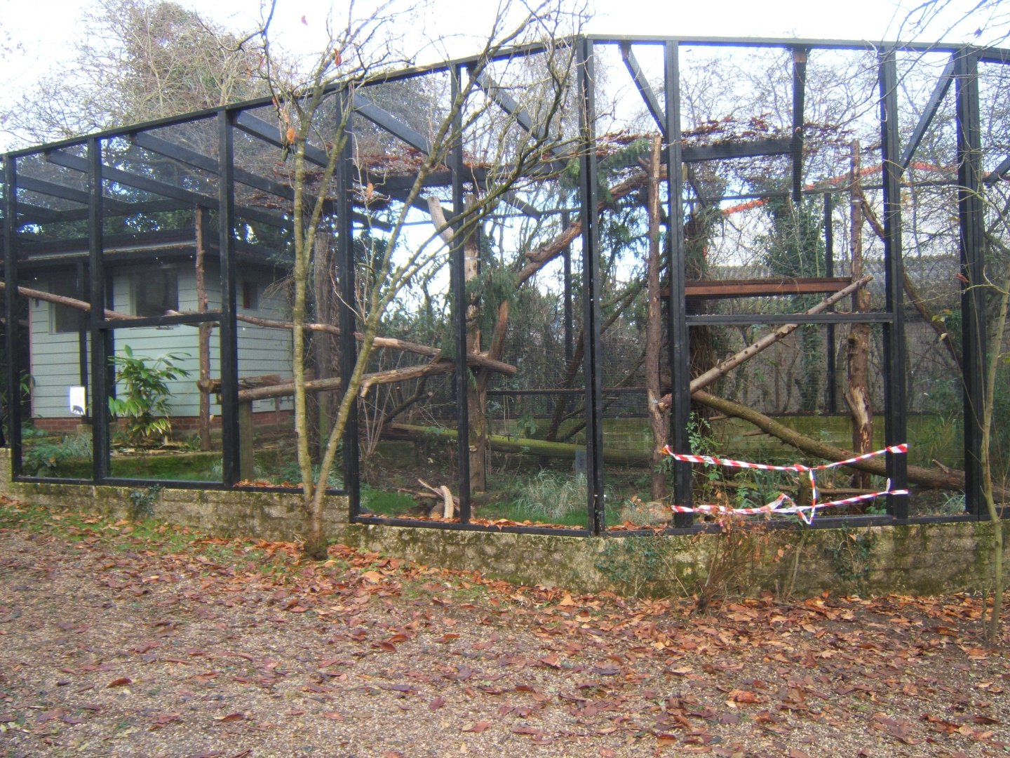 Future Binturong exhibit