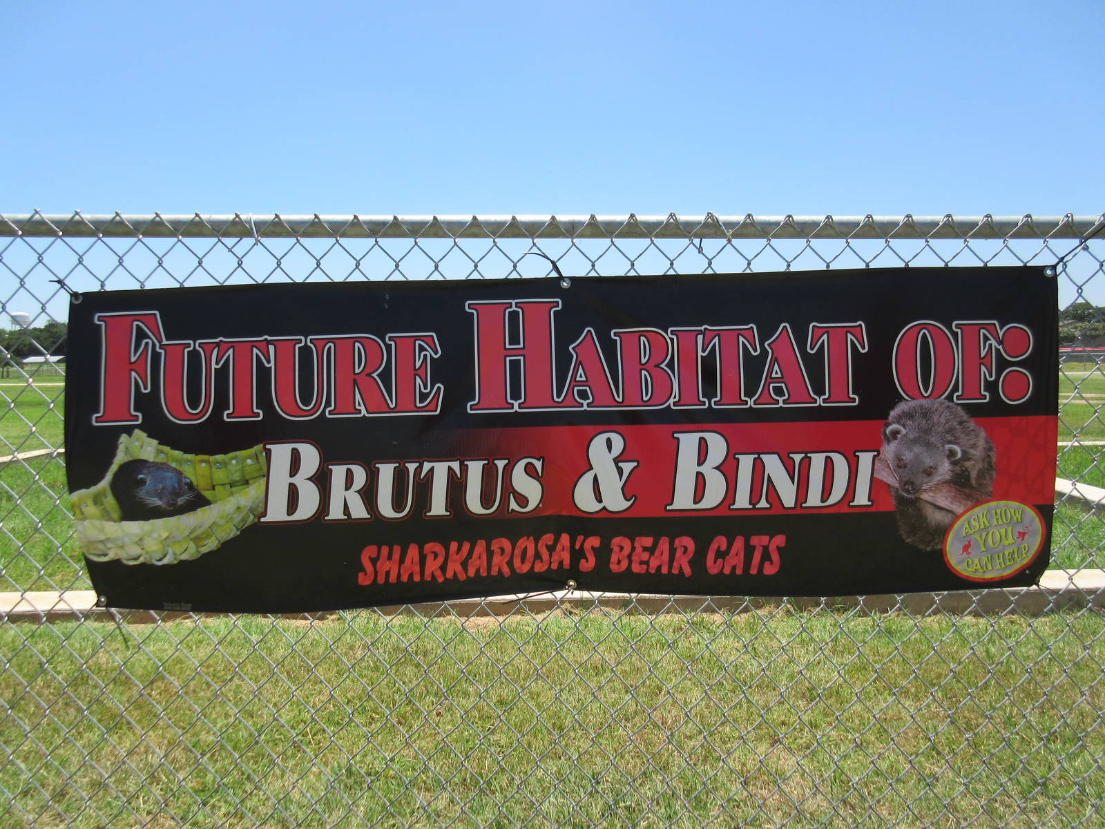 Future Binturong Habitat - Sign