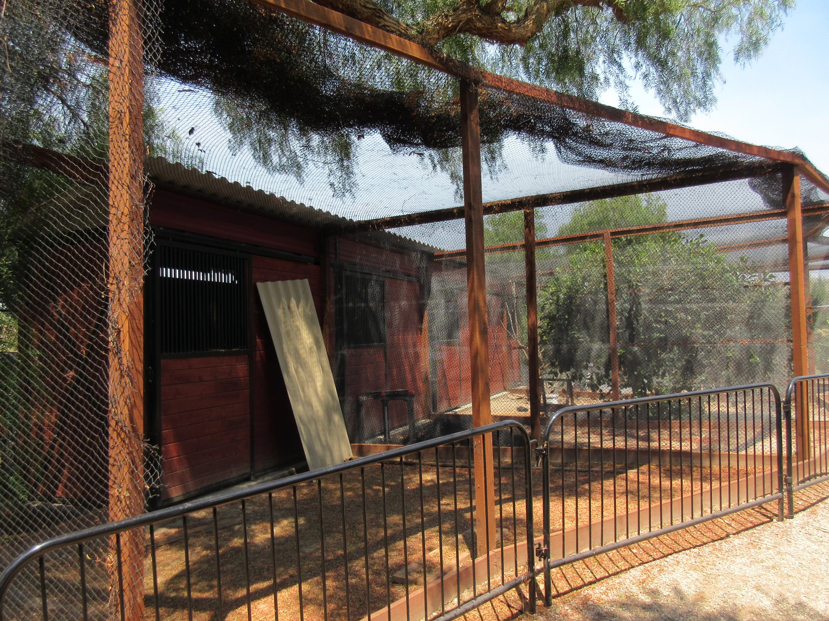 Future Bird of Prey Aviaries