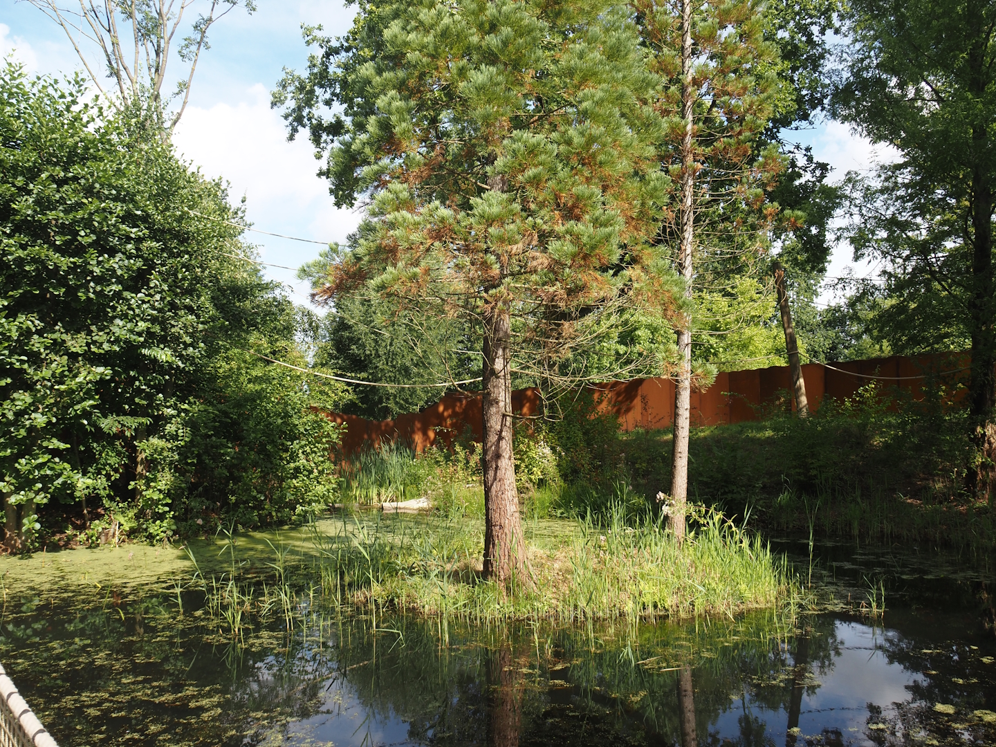 Future Black-and-gold howler monkey and Pied tamarin exhibit, 2024-08-21