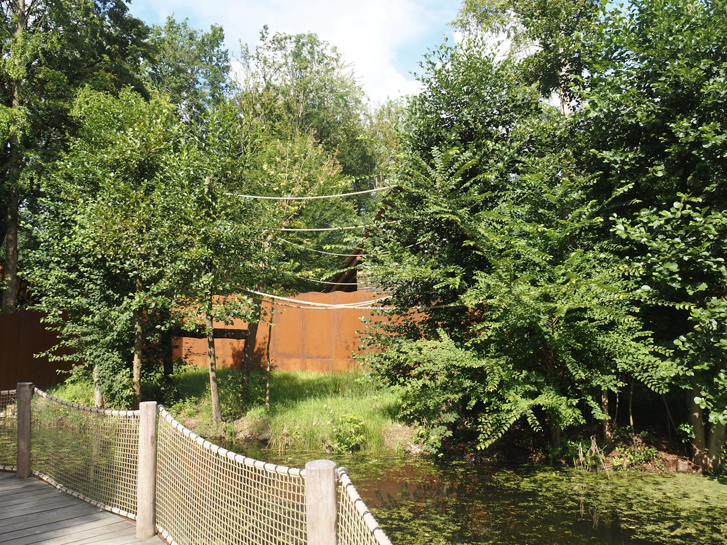 Future Black-and-gold howler monkey and Pied tamarin exhibit, 2024-08-21