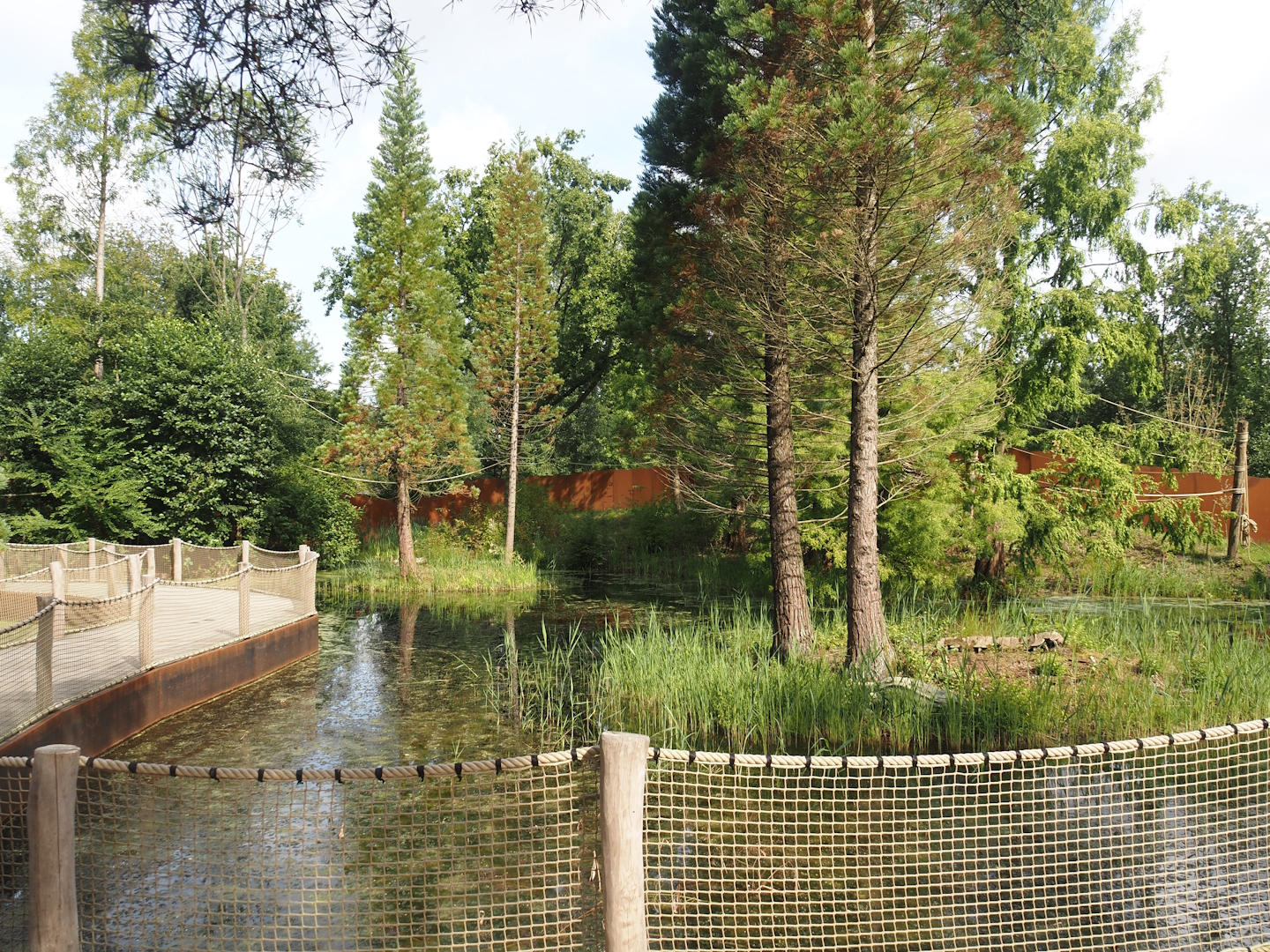 Future Black-and-gold howler monkey and Pied tamarin exhibit and Island with Carboniferous arthropod models, 2024-08-21