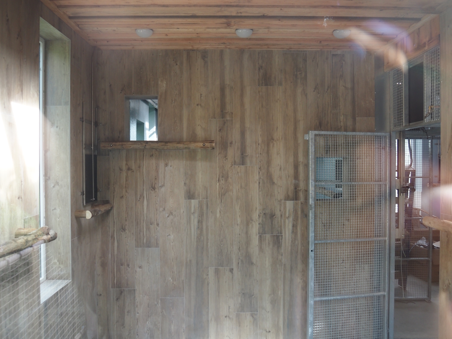 Future Black-and-gold howler monkey and Pied tamarin indoor housing, 2024-08-21