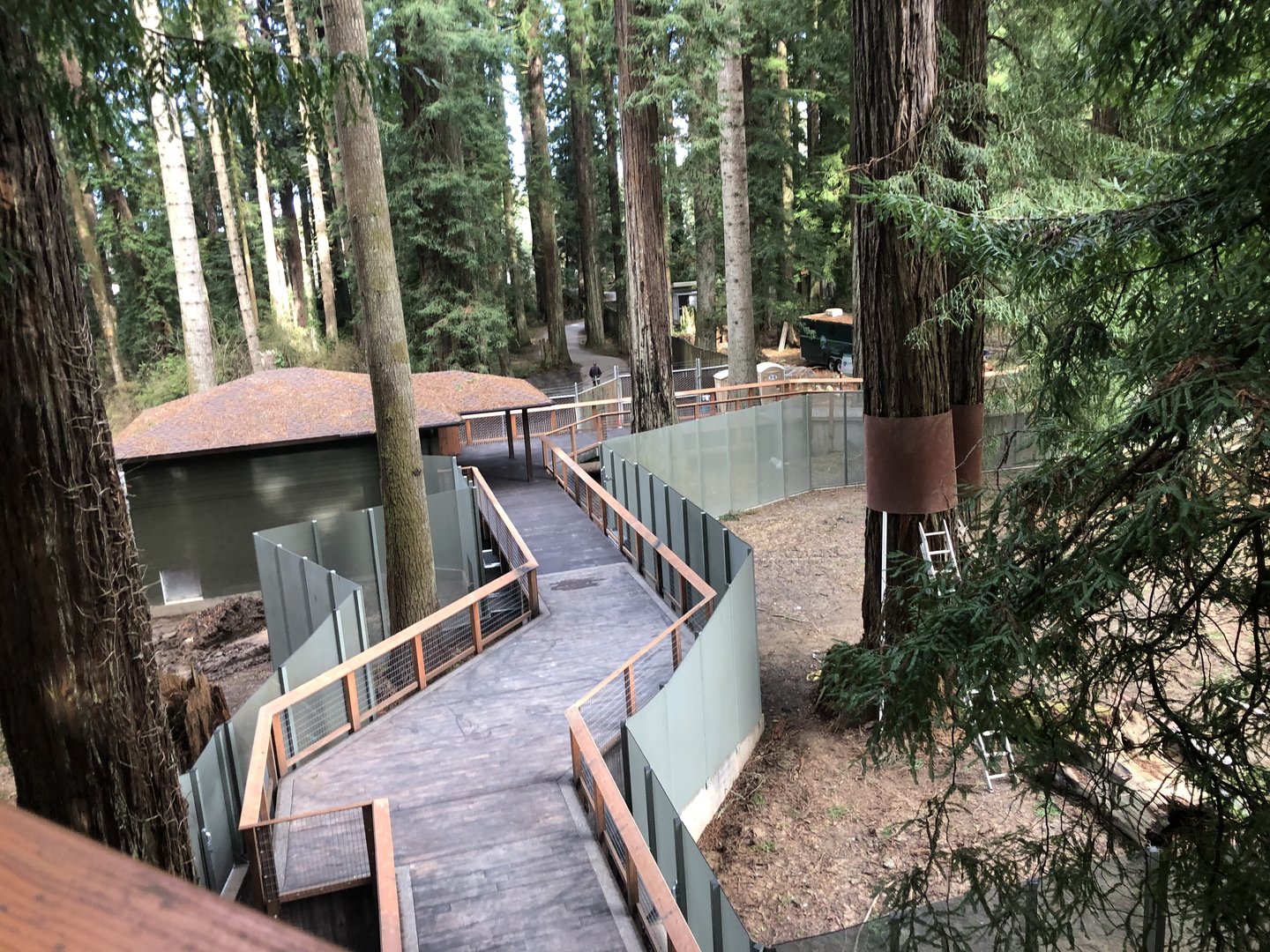 Future black bear/coyote habitat (opening this summer)