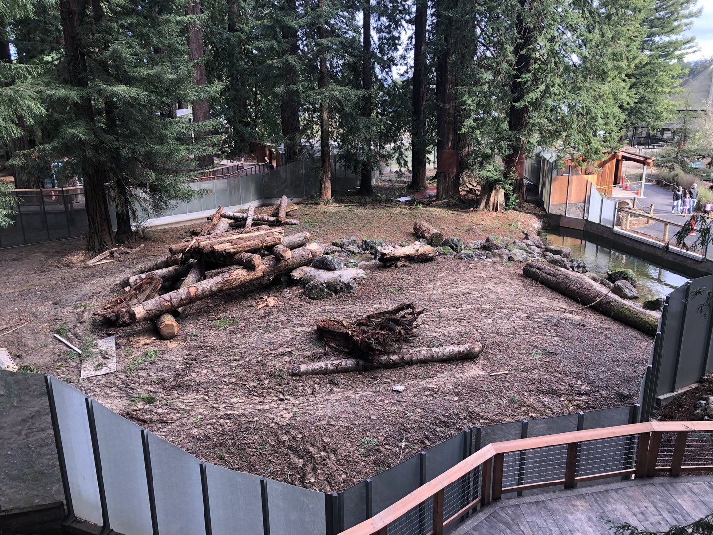 Future black bear/coyote habitat (opening this summer)