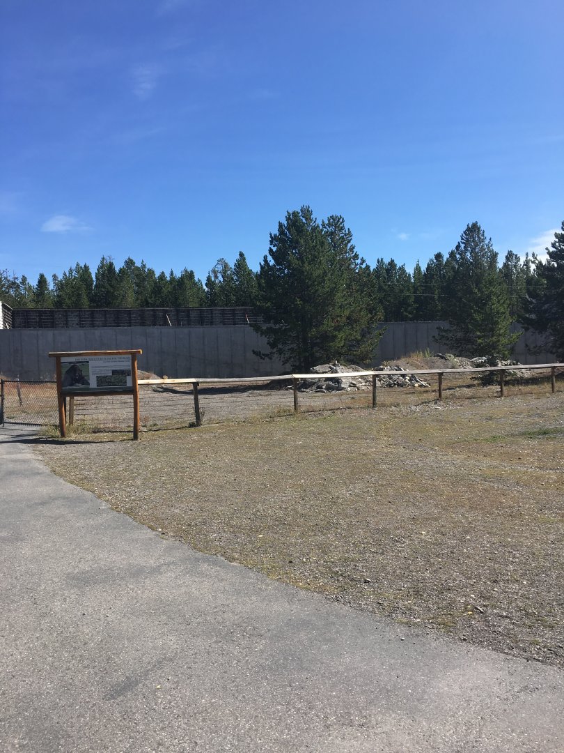 Future Black Bear Den and Exhibit
