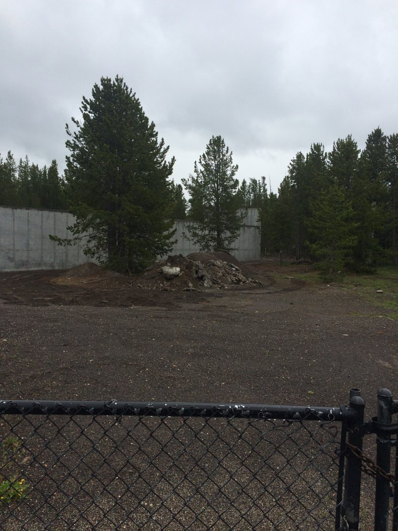 Future black bear exhibit
