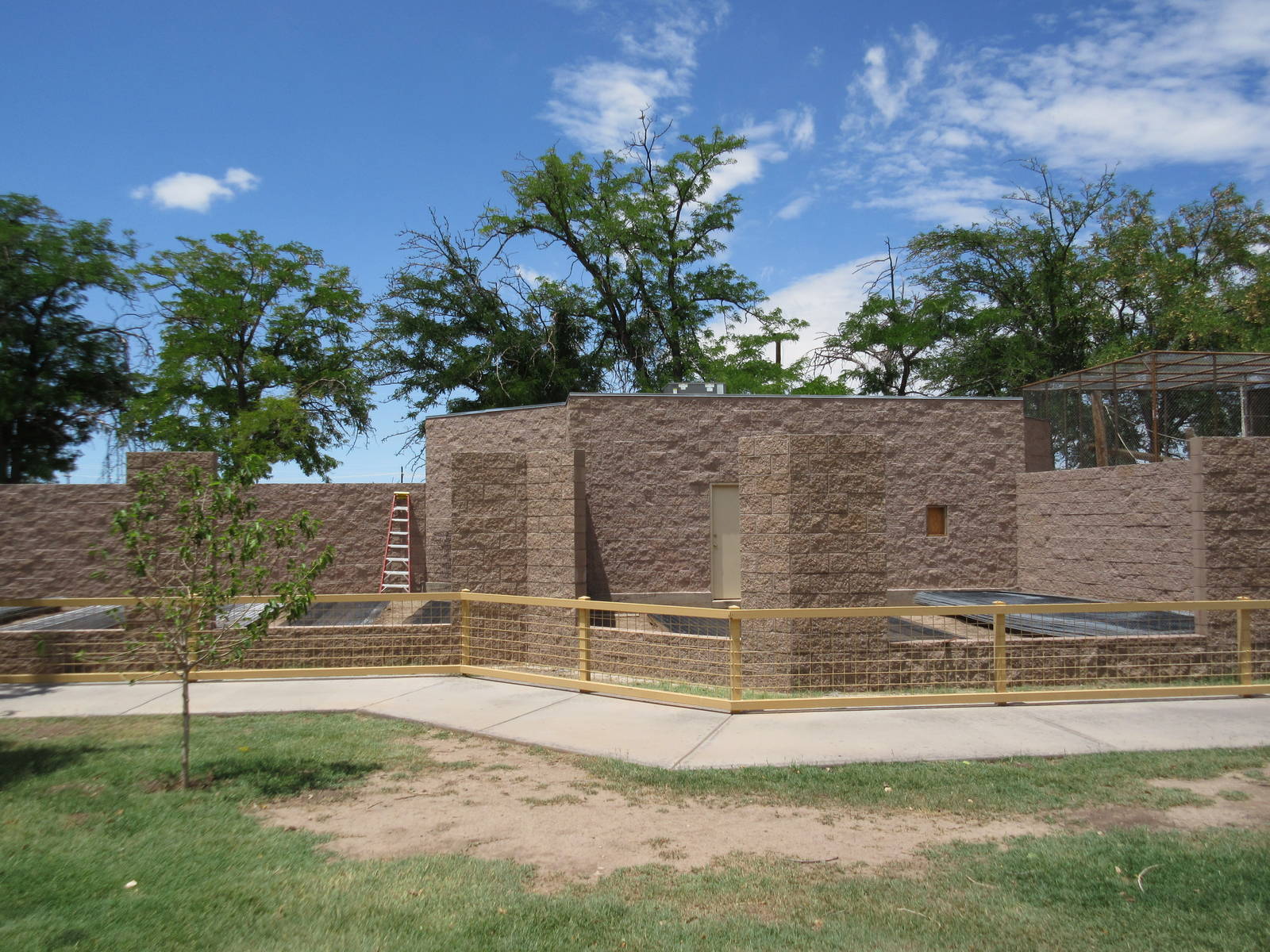 Future Black-Capped Capuchin Exhibits (and possibly Bobcat as well)