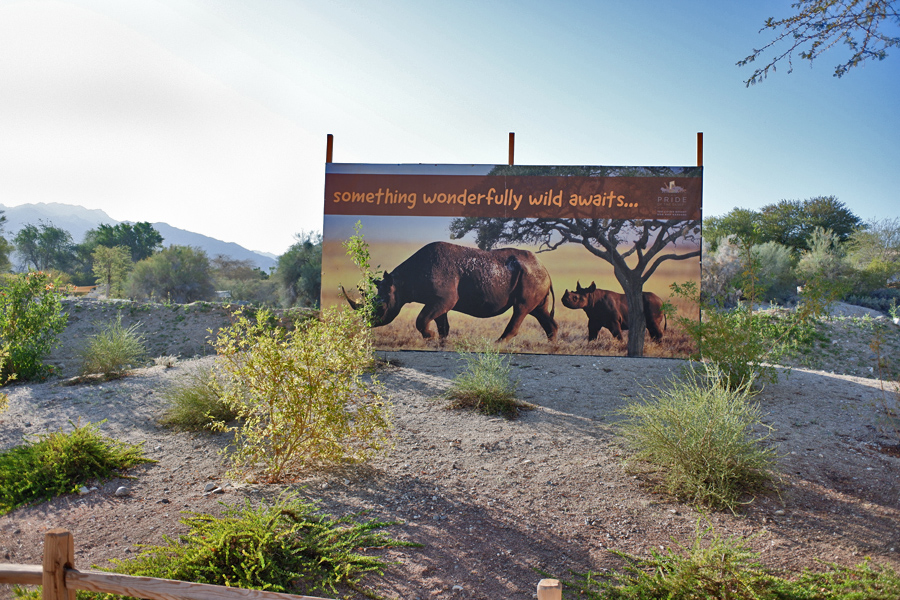 future black rhino exhibit