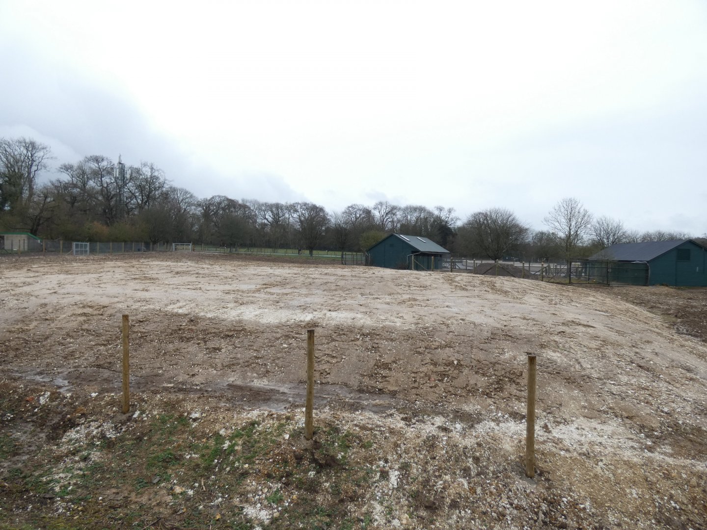 Future Blesbok Enclosure