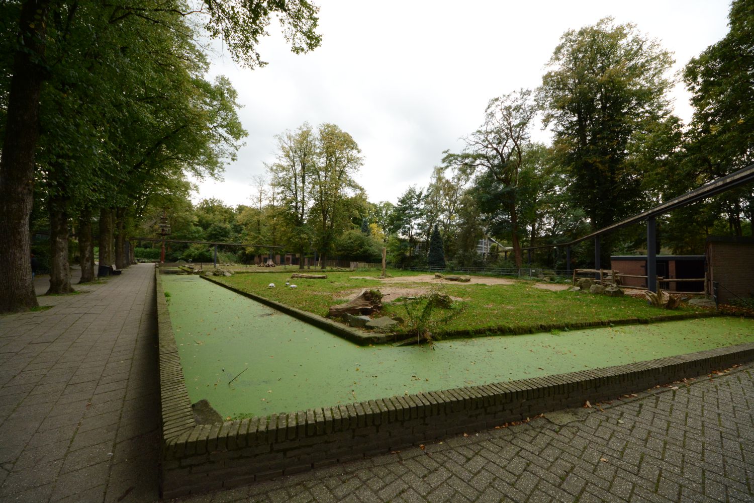 Future bonobo enclosure