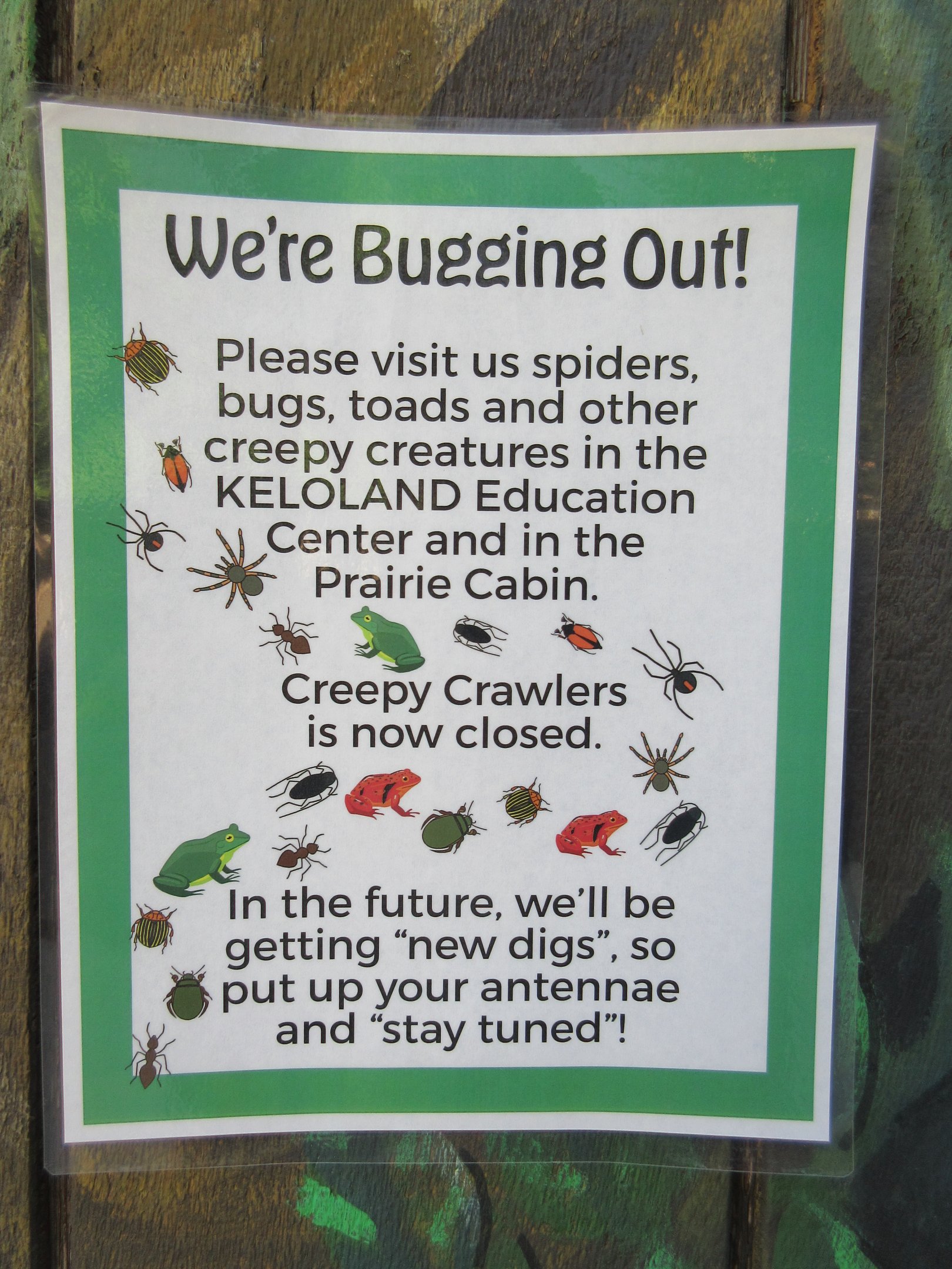 Future Bug House Plans???