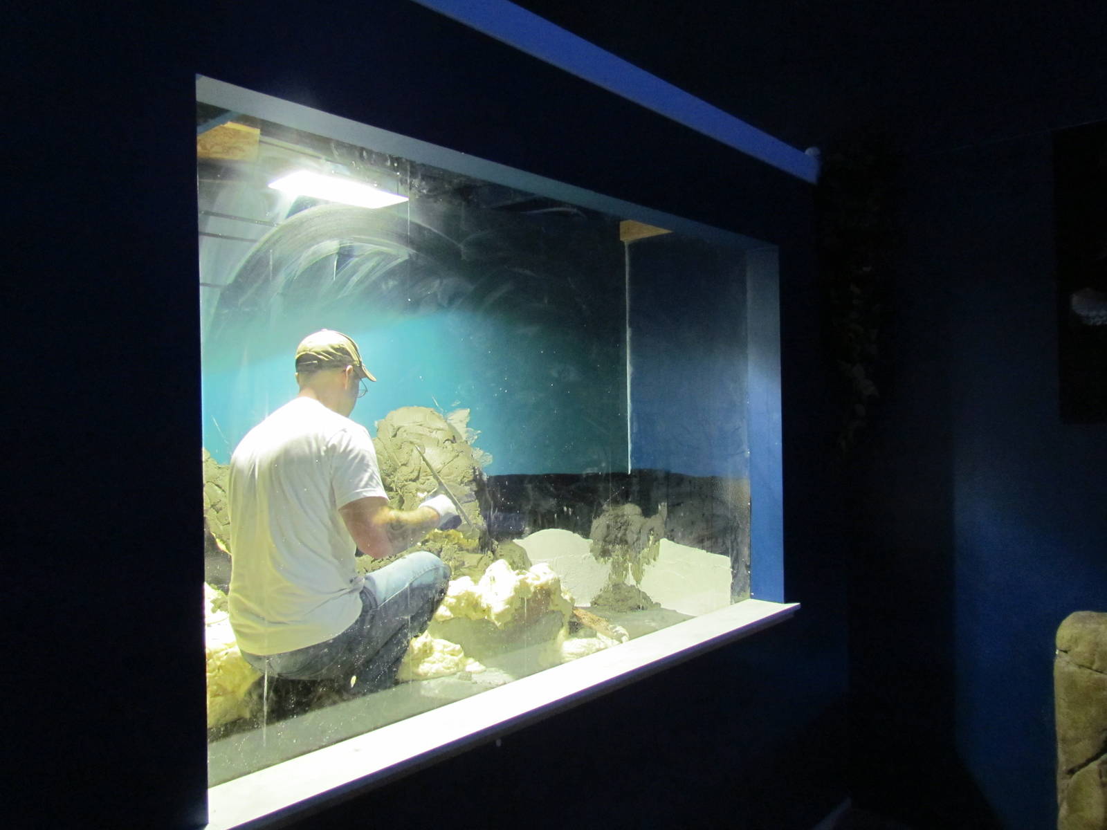 Future Caiman Exhibit