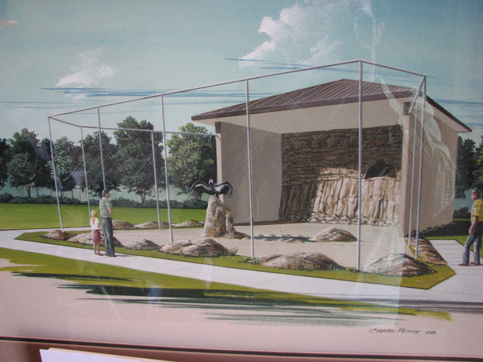 Future California Condor Display