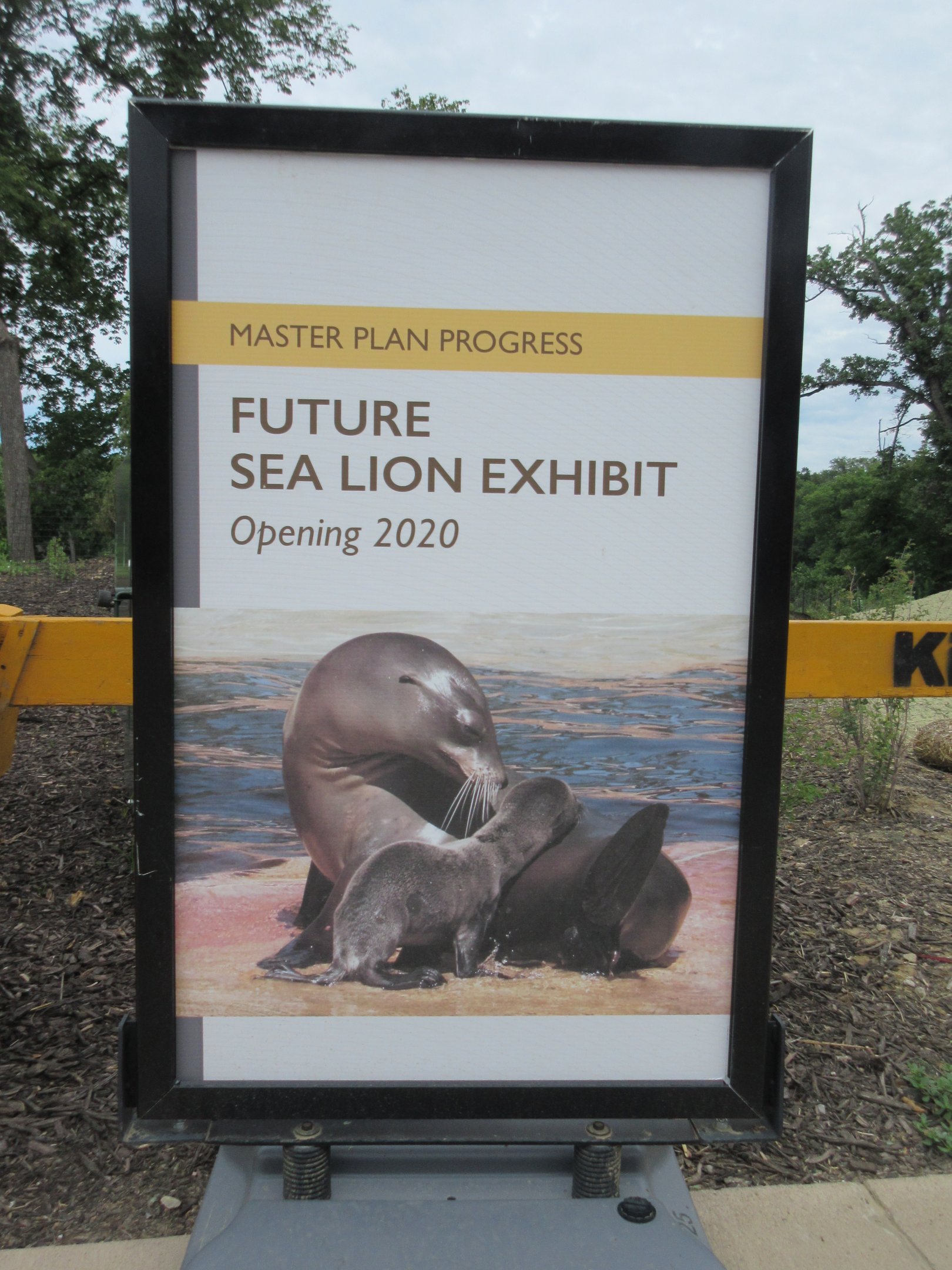 Future California Sea Lion Exhibit - 2020
