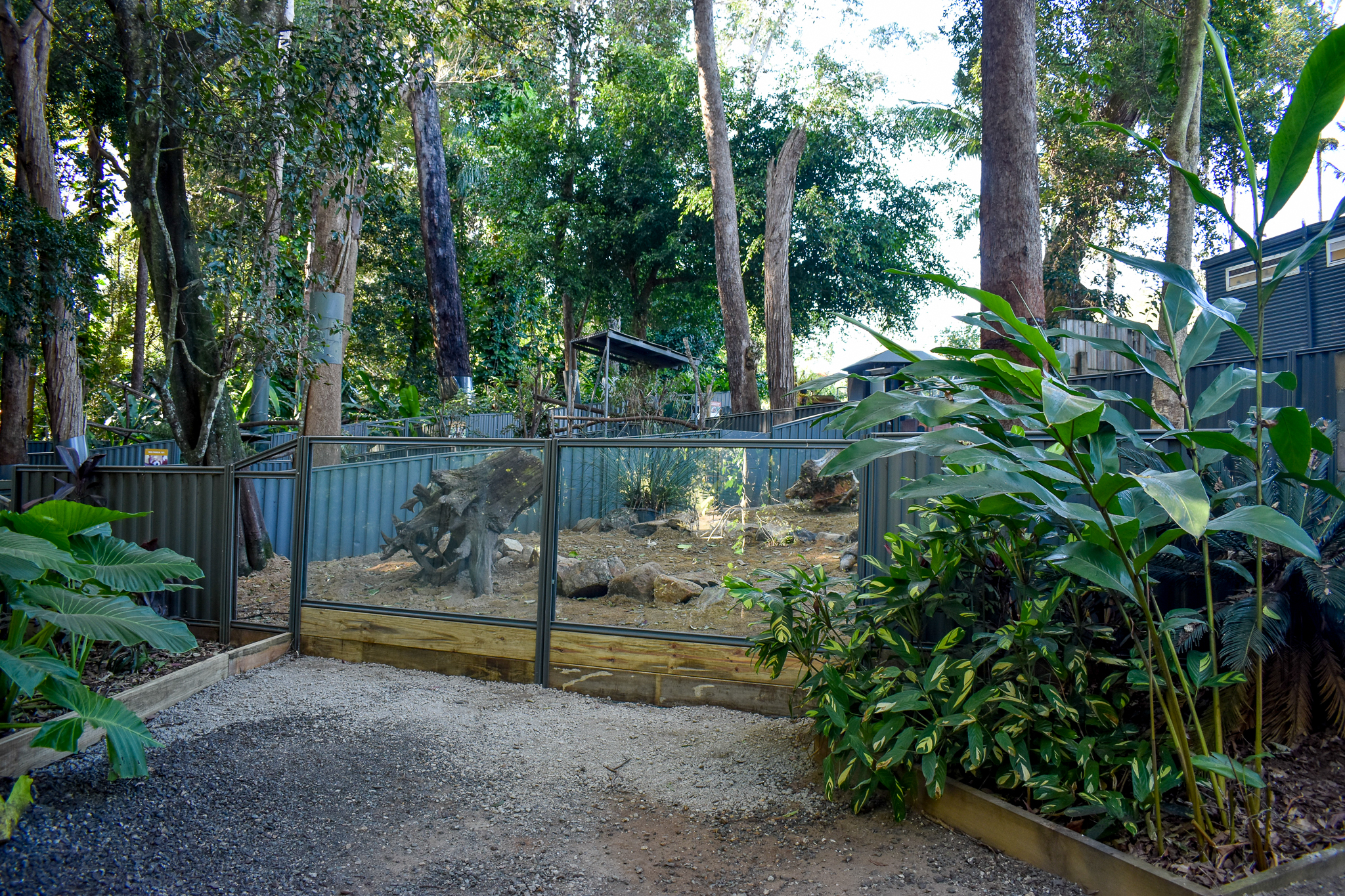 Future Cape Porcupine Enclosure