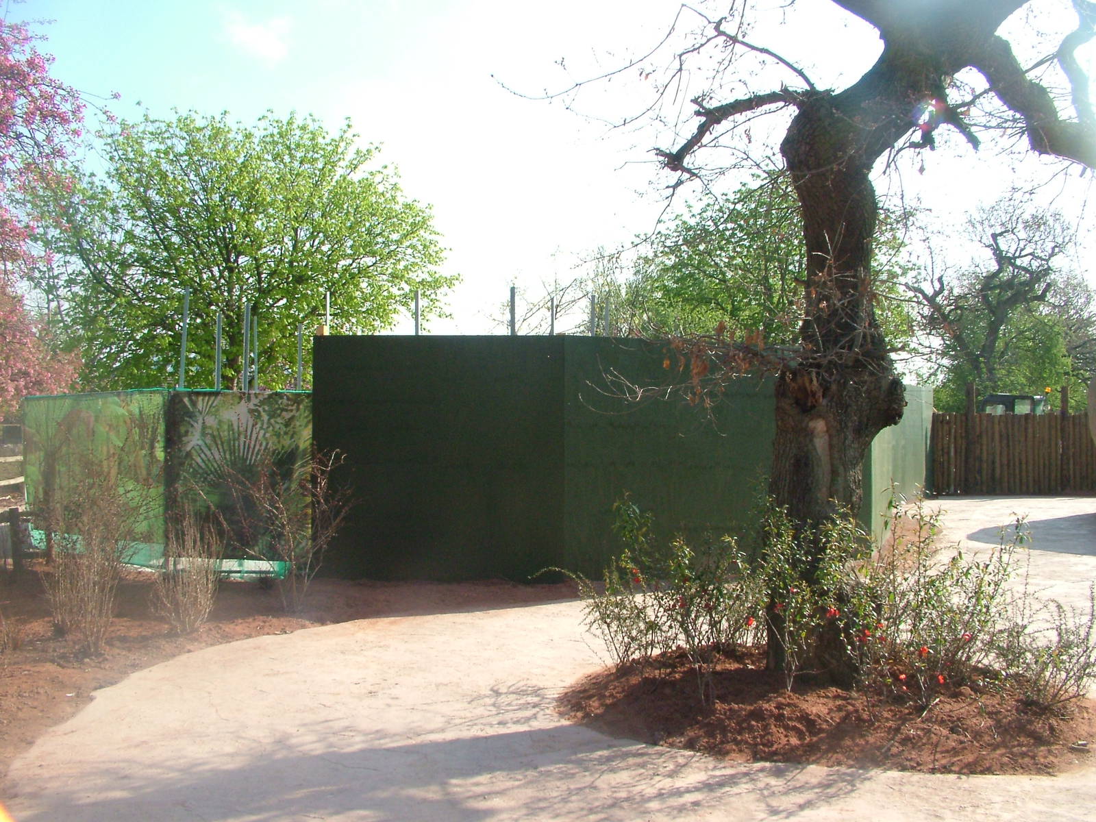 Future Cape Rock Hyrax Exhibit at Chester, 16/04/11