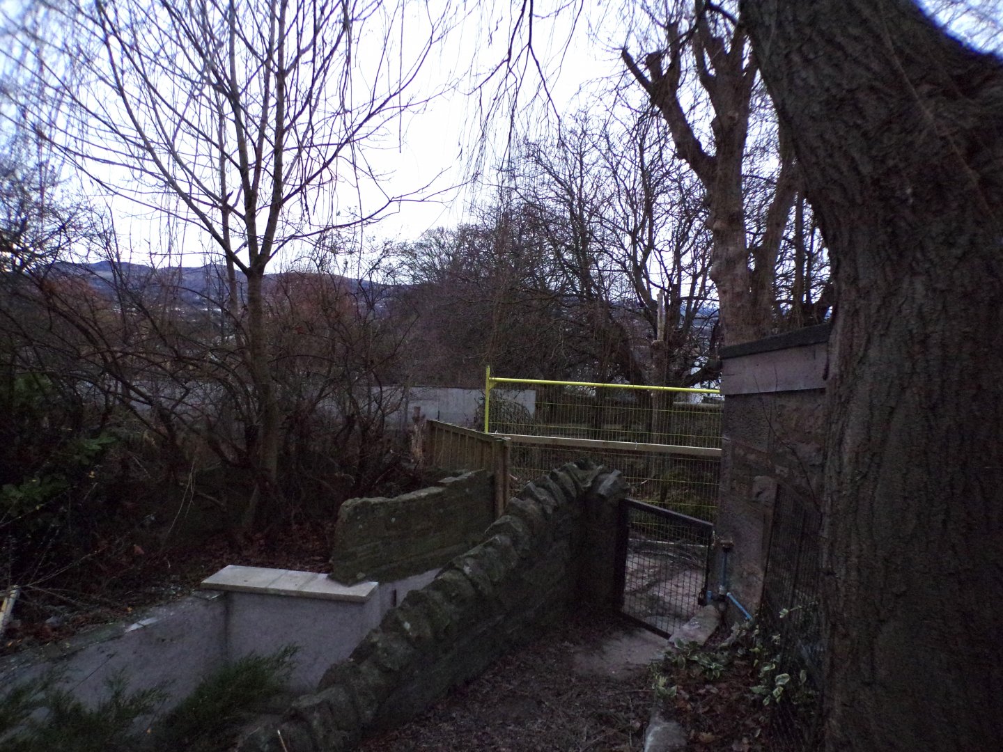 Future capybara enclosure 27.12.24