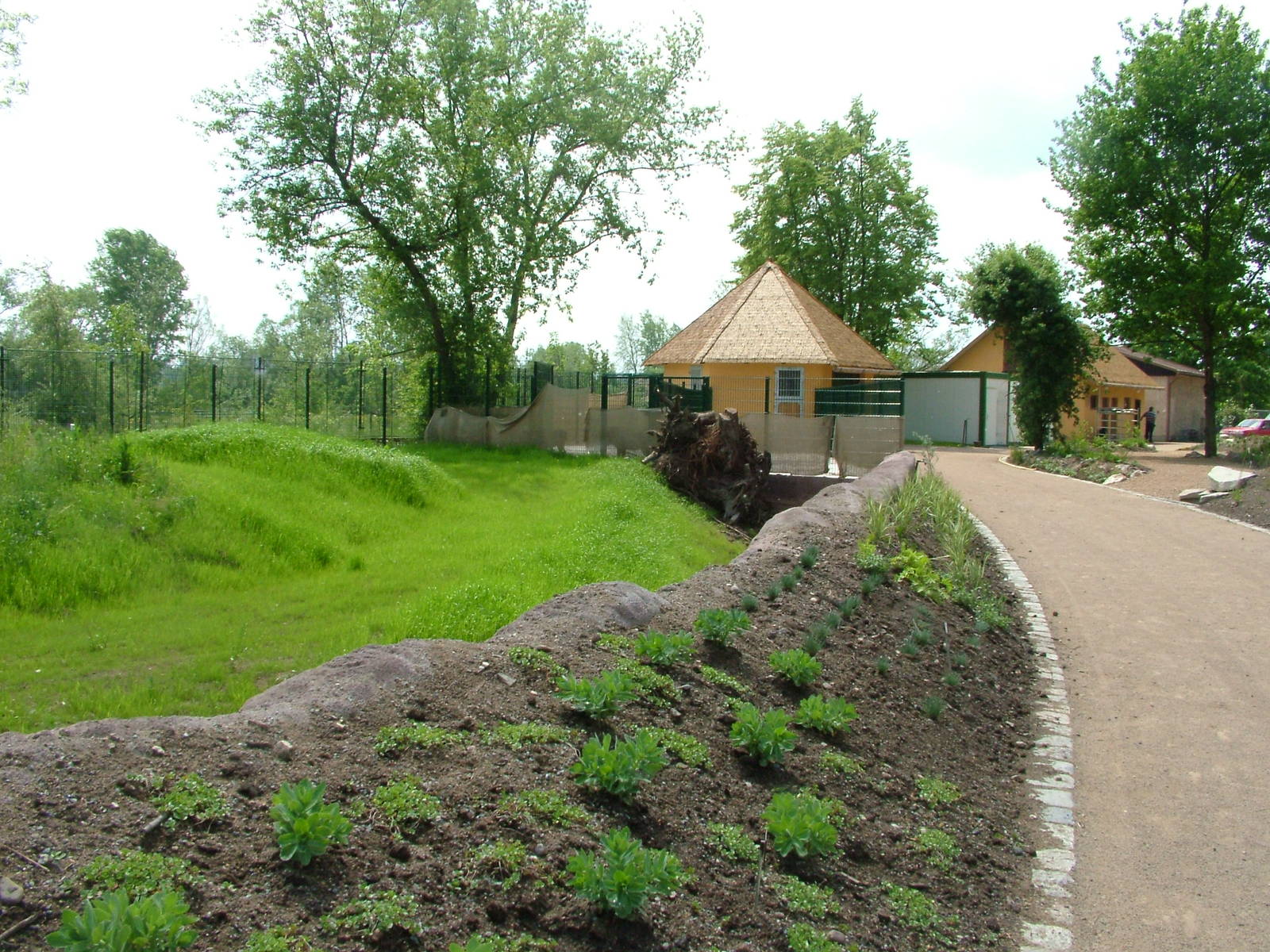 Future Cheetah exhibit and Warthog housing at Plzen, 25/05/10