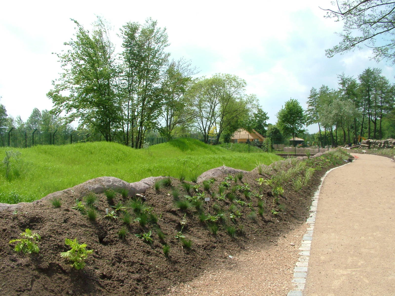Future Cheetah exhibit at Plzen, 25/05/10