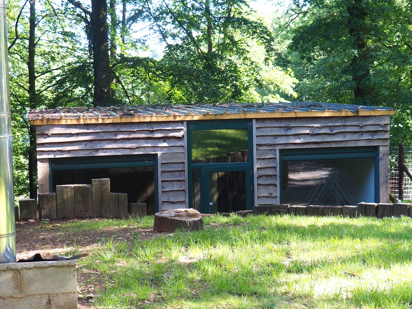 Future cheetah house, 2023-06-24