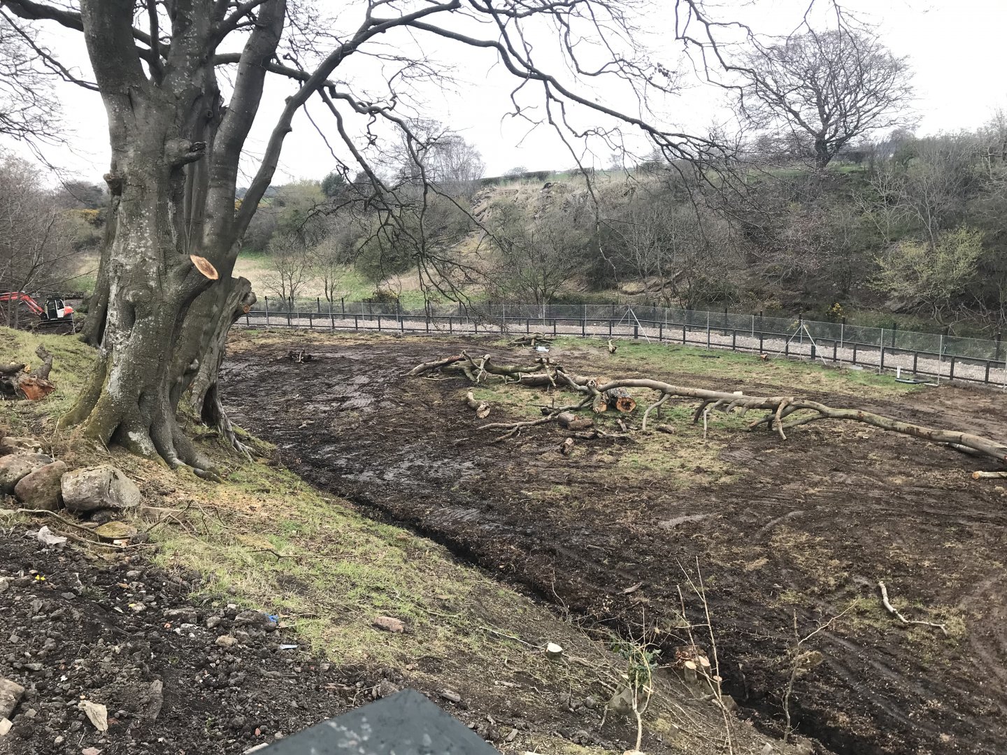 Future cheetah main enclosure
